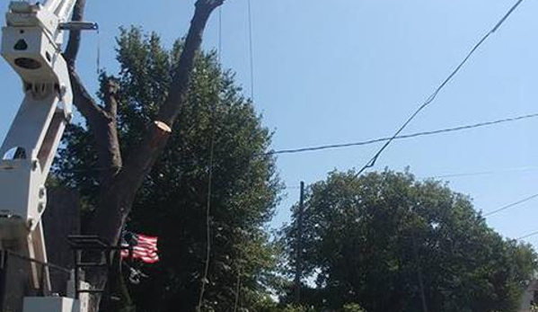 Wes' Tree Service - Oregon, IL