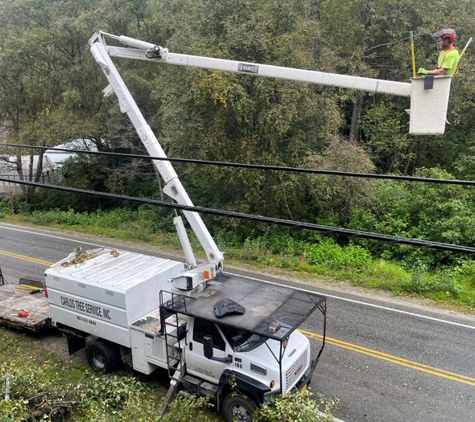 Carlos Tree Service Inc - Anchorage, AK