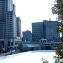 The Providence Rink - Ice Skating Rinks