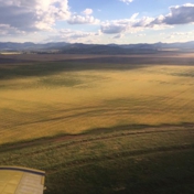 Gallery Image Number 2