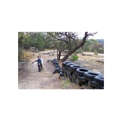 Gallery Image Number 7