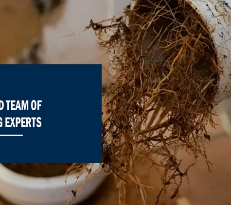 Jetset Plumbing. Dedicated Team Of Kitchen Plumbing Experts