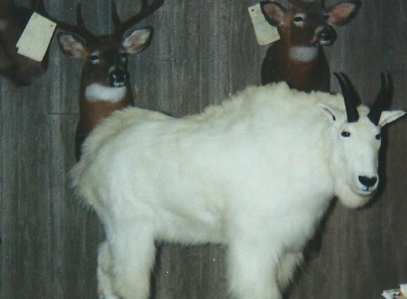 Ron's Taxidermy - Richmond, OH. Taxidermist