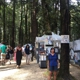 Kings Mountain Art Fair