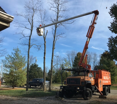 Martin's Tree Service - Eaton, OH
