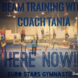 Euro Stars Gymnastics Inc - Plymouth, MI