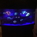 FLORIDA FINS AND SCALES INC - Aquariums & Aquarium Supplies