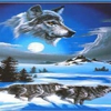 Wolfs Creations gallery