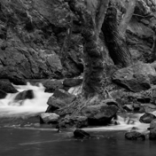 Gallery Image Number 1