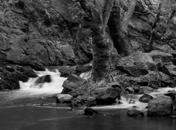 Duncan Images - Woodside, SA