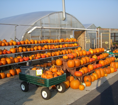 Miller's Greenhouses & Flower Shop - Smithfield, PA