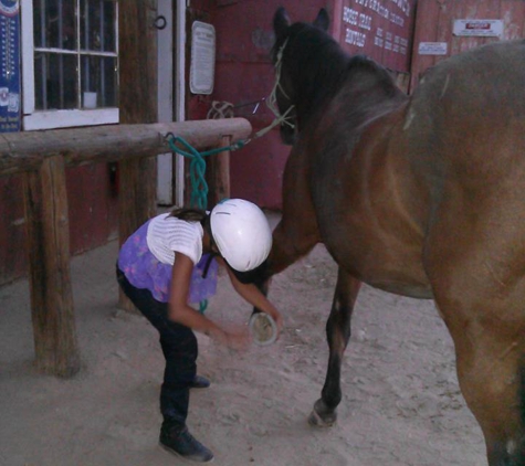 Ask The Horse Riding & Training - Tehachapi, CA