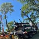 Premium Tree Service - Tree Service