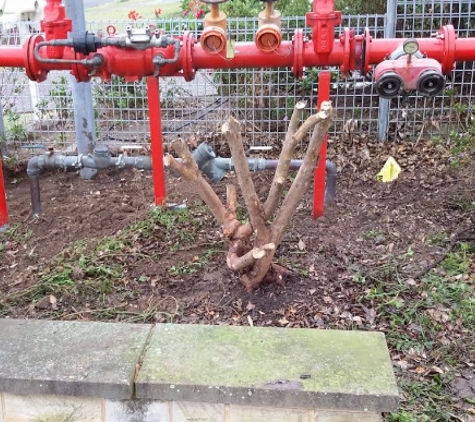 BR Plumbing & Excavations - Windella, NSW