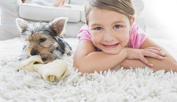 Oriental Rug Cleaning by Hand - Palm Beach Gardens, FL