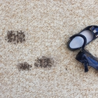 Master Rug Cleaner