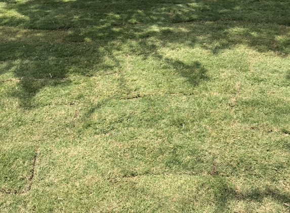 Mr Bs Sod Install - El Paso, TX