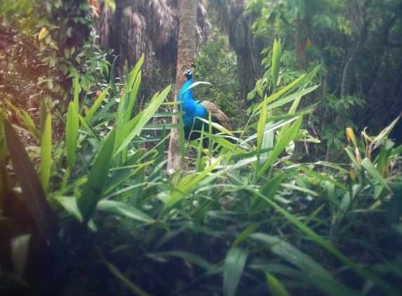 Sacred Lands - Saint Petersburg, FL