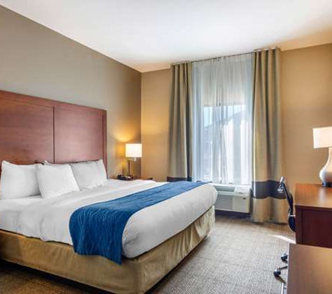 Comfort Inn South Chesterfield - Colonial Heights - South Chesterfield, VA