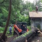C & M Tree Service