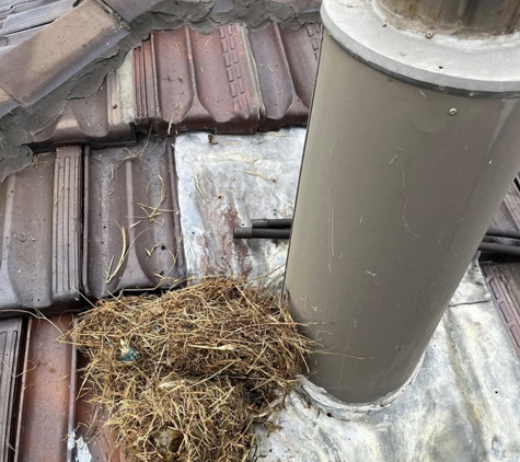 Five Star Wood Heating - Lindisfarne, TAS