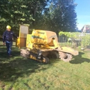 Acmy Tree Service