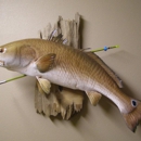 Wildlife Reflections Taxidermy - Tanners
