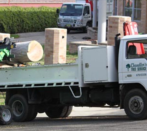 Chandler's Tree Service - East Tamworth, NSW. We Have The Knowledge And Special Equipment To Level It Completely