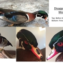 Tri-State Taxidermy - Taxidermists