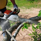 Twin Cities Tree Service