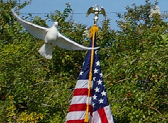 Sarasota Dove Release - Sarasota, FL