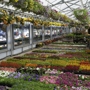 Flower Barn Nursery