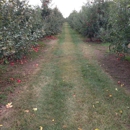 Samascott Orchards - Farms