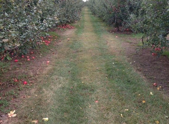 Samascott Orchards - Kinderhook, NY