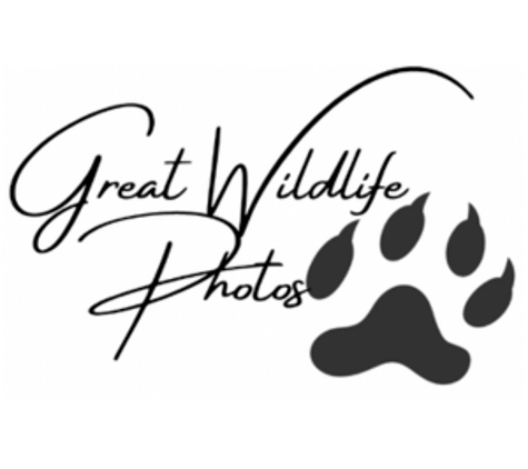 Great Wildlife Photos - Sparks, NV