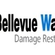 Bellevue Water Fire Damage Pros