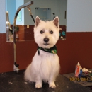 Hairy d-tails Pet Salon - Pet Services