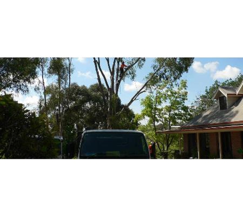 The Tree Surgeon - Spring Creek, NSW
