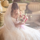 Darya Morreale Photography - Wedding Photography & Videography