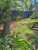 Addison Fencing and Gates - Fencing Contractors