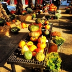 Agricenter Farmer's Market