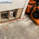 FDP Mold Remediation of Plantation - Mold Remediation