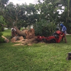 Steve's Tree Service & Removal