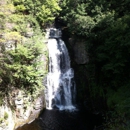 Bushkill Falls - Ponds, Lakes & Water Gardens Construction