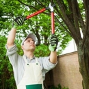 Affordable Tree Service By Mark Hicks - Tree Service