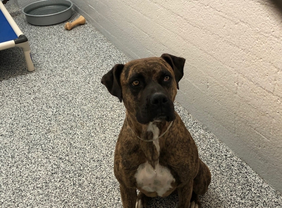 Yavapai Humane Society - Prescott, AZ