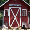 Arkansas Labs - Pet Breeders