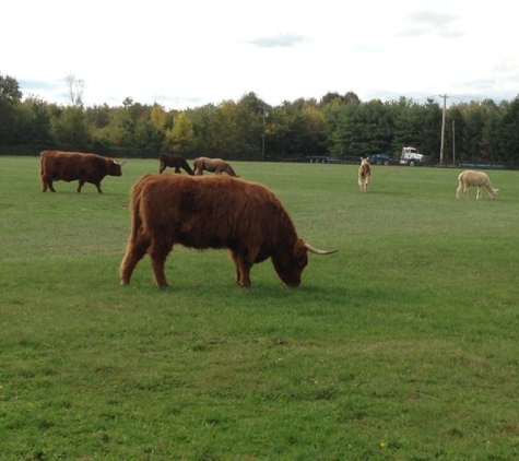 Hallockville Museum Farm - Riverhead, NY