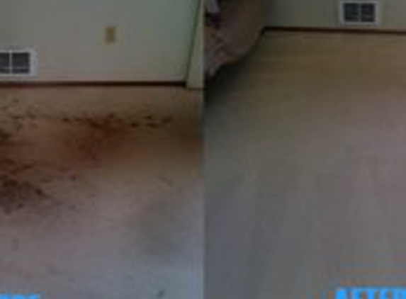 Mr Steam Carpet Cleaning - Portland, OR