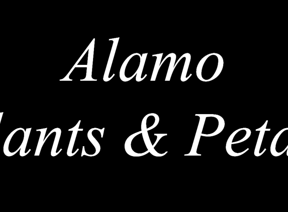 Alamo Plants & Petals - San Antonio, TX
